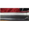 Image 16 : SAVAGE AXIS II XP 6.5 CREEDMORE STAINLESS STEEL NATURAL MATTE BARREL C/W BUSHNELL BANNER SCOPE SN. P