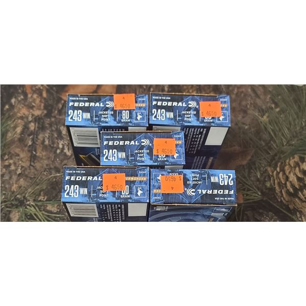 5 BOXES 243 WIN. FEDERAL POWER SHOK,JACKETED SOFT POINT 80 GRAIN 20 REOUNDS PER BOX NO SHIPPING ON A
