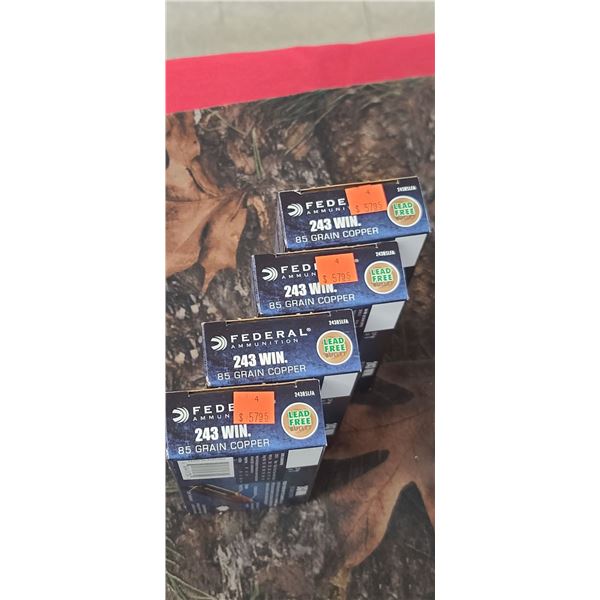 4 BOXES 243 WIN. FEDERAL POWER SHOK, COPPER 85 GRAIN LEAD FREE 20 REOUNDS PER BOX NO SHIPPING ON AMM