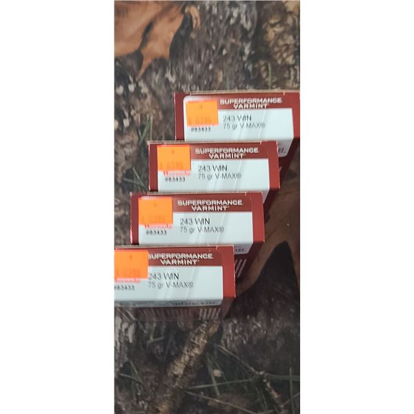 4 BOXES 243 WIN. HORNADY SUPERFORMANCE VARMINT V=MAX 75 GRAIN 20 ROUNDS PER BOX NO SHIPPING ON AMMUN