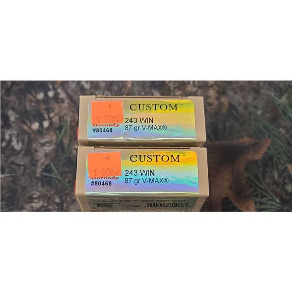 2 BOXES 243 WIN. HORNADY CUSTOM V-MAX 87 GRAIN 20 ROUNDS PER BOX NO SHIPPING ON AMMUNTION