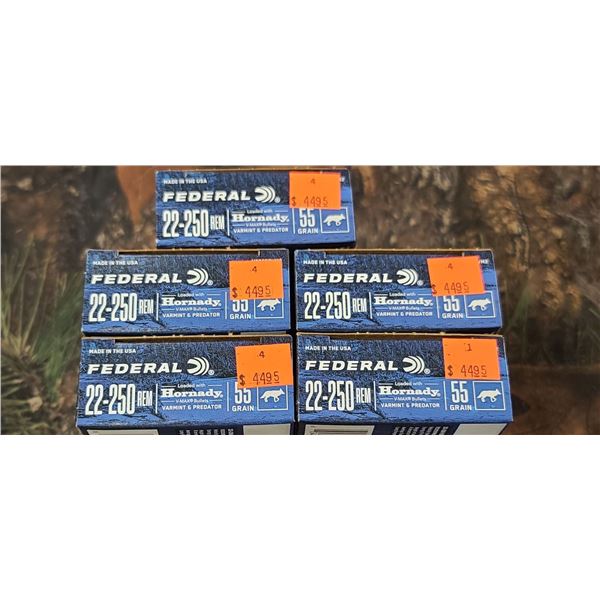 5 BOXES 22-250 REM. FEDERAL LOADED WITH HORNADY V-MAX 55 GRAIN 20 ROUNDS PER BOX NO SHIPPING ON AMMU