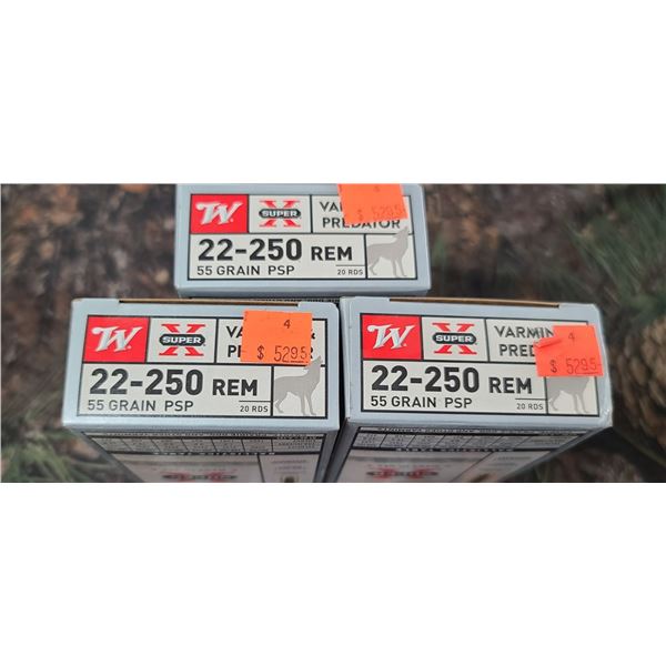 3 BOXES 22-250 REM. WINCHESTER SUPER X PSP 55 GRAIN 20 ROUNDS PER BOX NO SHIPPING ON AMMUNTION