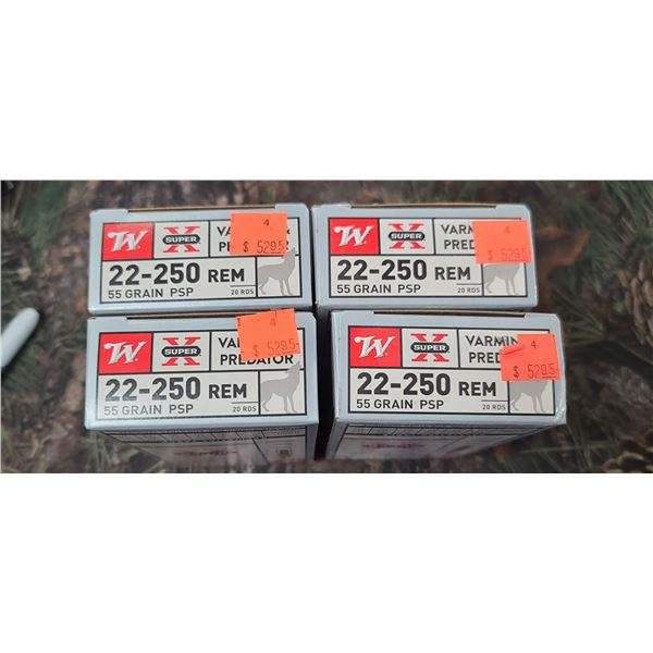 4 BOXES 22-250 REM. WINCHESTER SUPER X PSP 55 GRAIN 20 ROUNDS PER BOX NO SHIPPING ON AMMUNTION