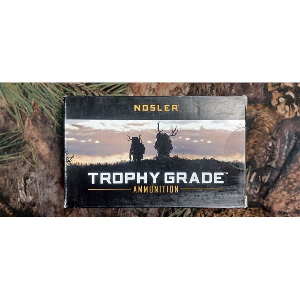1 BOX 30 NOSLER, NOSLER TROPHY GRADE ABLR 210 GRAIN 20 ROUNDS PER BOX NO SHIPPING ON AMMO