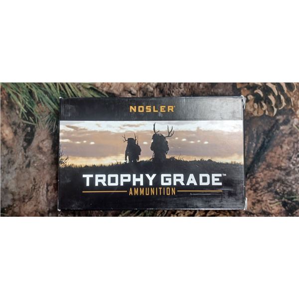 1 BOX 28 NOSLER, NOSLER TROPHY GRADE ACCU-BOND 160 GRAIN 20 ROUNDS PER BOX NO SHIPPING ON AMMO