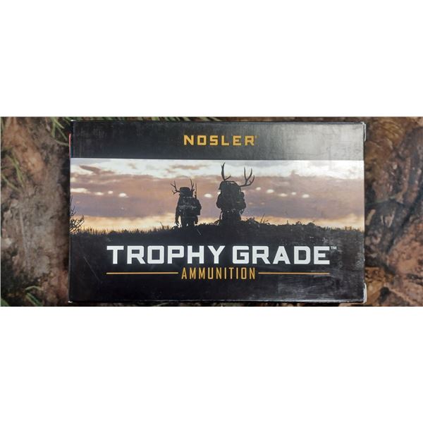 1 BOX 33 NOSLER, NOSLER TROPHY GRADE ACCU-BOND 225 GRAIN 20 ROUNDS PER BOX NO SHIPPING ON AMMO