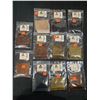 Image 2 : ASSORTED SHORT/FINE DEER HAIR (11 PIECE)