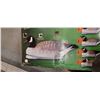 Image 3 : 4 PRIMOS 6PC, FLOATING CANADA GOOSE SET