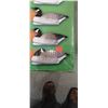 Image 5 : 4 PRIMOS 6PC, FLOATING CANADA GOOSE SET