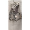 Image 1 : 5 ROBOTIC ROBO-GOOSE DECOY'S 36"