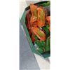 Image 4 : FULL BOX OF DEER PRIMOS DONKEY BUTTER