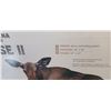 Image 3 : MONTANA DECOY ARCHERS CHOICE MOOSE II DECOY (COW)