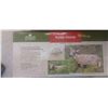 Image 3 : 2 EDGE 3D FAWN PREDATOR DECOYS