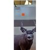 Image 4 : MONTANA DECOY MULEY BUCK MOBILE DECOY SYSTEM
