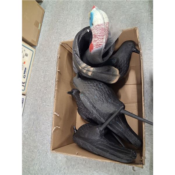BOX OF BIRDS - 4 CROWS, 1 TURKEY - 5 ITEMS TOTAL