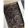 Image 3 : NYLON SNELLED HOOKS, LEADERS, SWIVELS, TREBLE HOOKS, TORTUE HOOKS