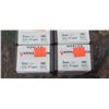 Image 2 : 5 BOXES OF NOSLER 6MM .243" 55GR TIPPED VARMAGEDON 100/BOX