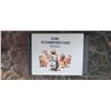 Image 5 : 5 BOXES OF NOSLER 6MM .243" 55GR TIPPED VARMAGEDON 100/BOX