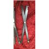 Image 7 : 12" CONIBEAR TRAP + 3 TRAP SETTING BARS