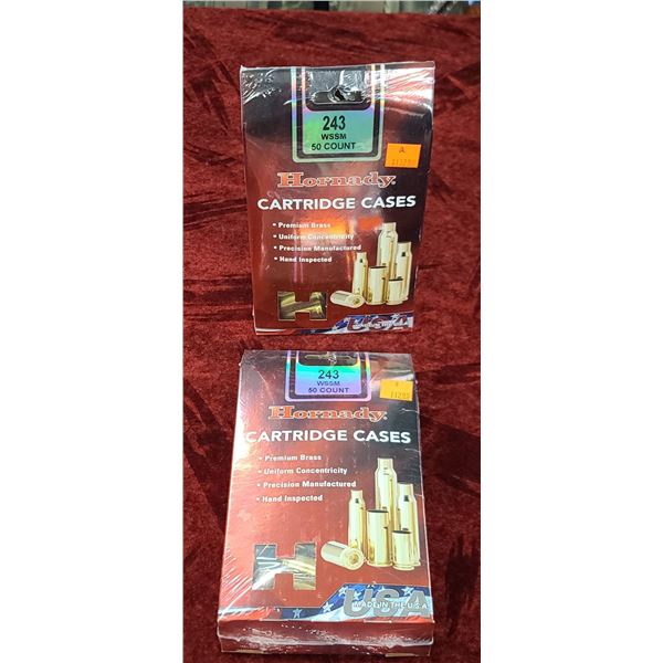 HORNADY 243 WSSM BRASS 100 PCS
