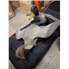 Image 6 : ASSORTED DECOYS & PARTS, 2 LAYDOWN BLINDS, AND BLIND NO POLES
