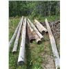 Image 3 : Powerpoles - (4) 35', (6) Pieces of Varying Length