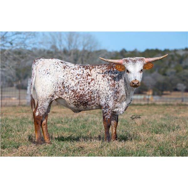 LA MOO PEARL LP
