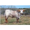 Image 1 : LA MOO PEARL LP