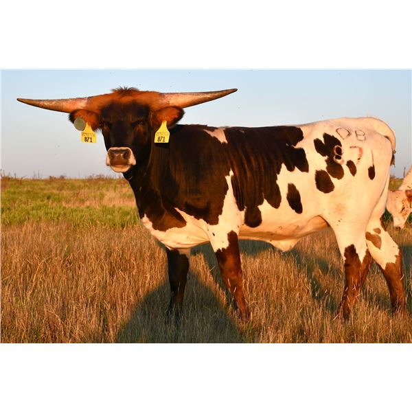 DB ALLOTA COMMOTION
