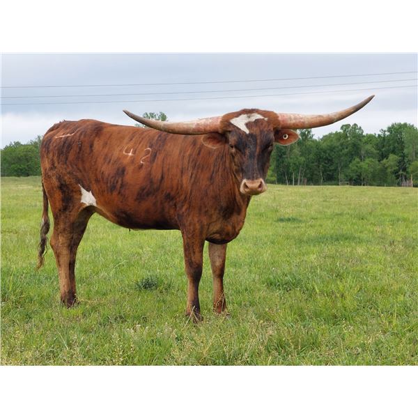 SDR NOTORIOUSLY ALTHA