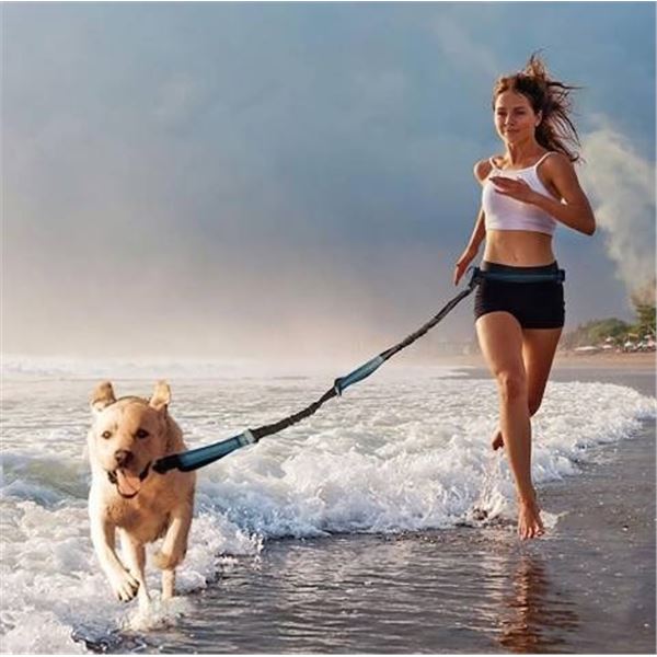 Uppetly Hands Free Dog Running Leash with Adjustable Waist Belt