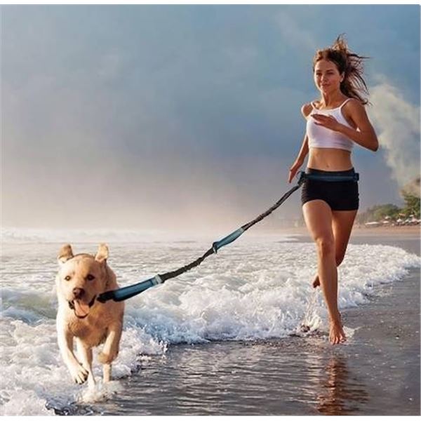 Uppetly Hands Free Dog Running Leash with Adjustable Waist Belt