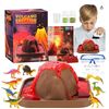 Image 1 : Volcano Eruption DIY Experimental Device