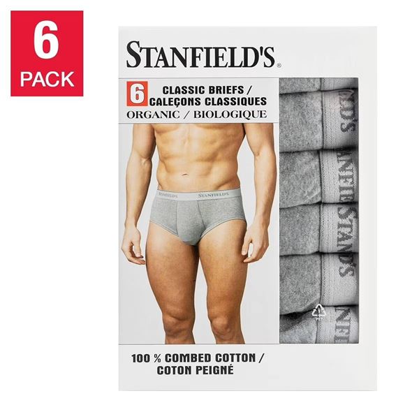 Stanfield's 6-Pack Classic Briefs S/P