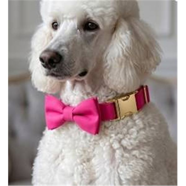 Maca Bates Rose Red XL Dog Collar Set