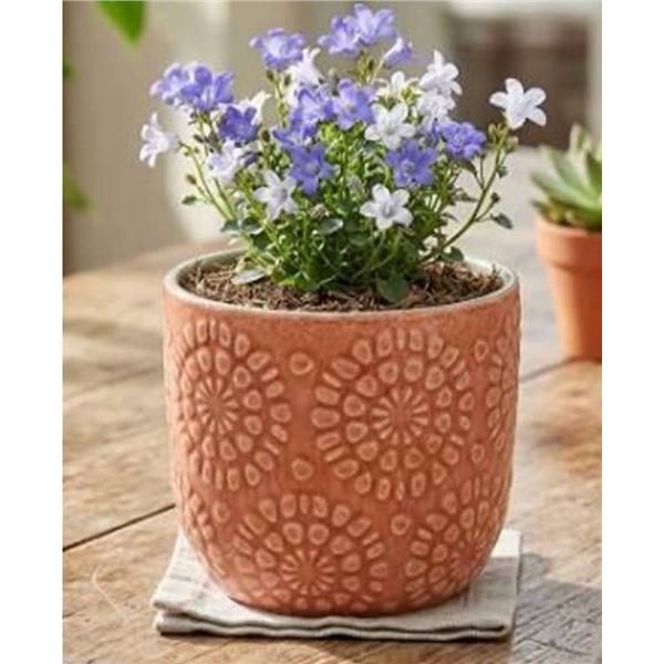 Stone & Beam Floral Embossed Planter Small