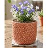 Image 1 : Stone & Beam Floral Embossed Planter Small