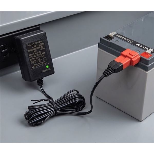 FULIHUA 6.0V 0.5A AC Battery Charger