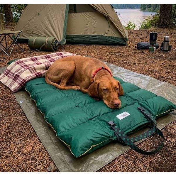 Oeko-Tex Standard 100 Green DOG BED