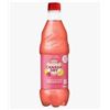 Image 1 : Canada Dry 24 x 500mL Bottles