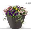 Image 1 : Desert Planters Hydra System Planter **Flowers Not Included**