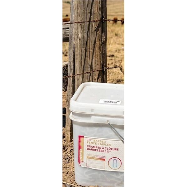 Homebase 1-3/4" Barbed Fence Staples 50 lb
