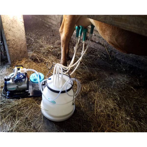 Ultimate EZ Milker **Just the Container**