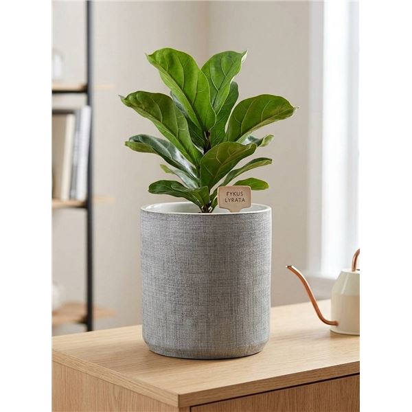Rivet Rustic Textured Stoneware Planter. 10" x 8.66" x 10"