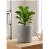 Image 1 : Rivet Rustic Textured Stoneware Planter. 10" x 8.66" x 10"