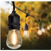 Image 1 : Feit Electric LED String Lights 48 ft