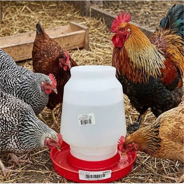 1 Gallon Poultry Waterer Fountain Top