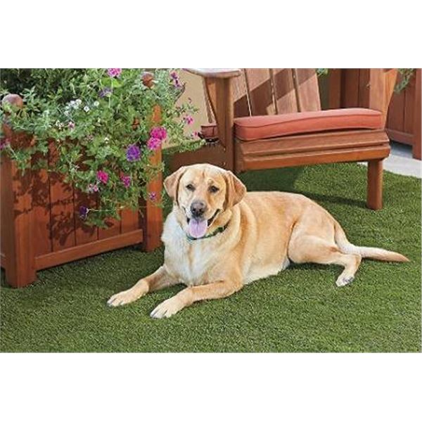 VALU Artificial Grass Roll 6ft x 8ft