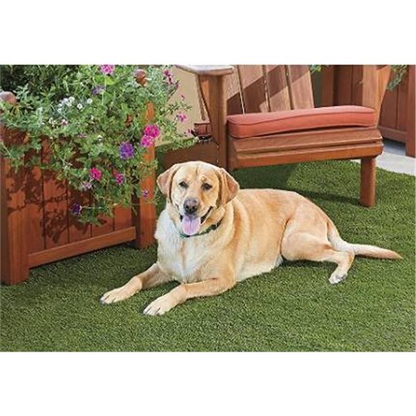VALU Artificial Grass Roll 6ft x 8ft